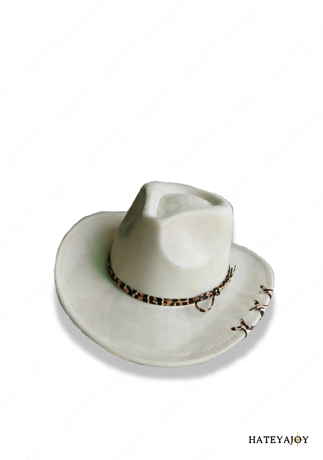 Chapeau Style Western Zebda